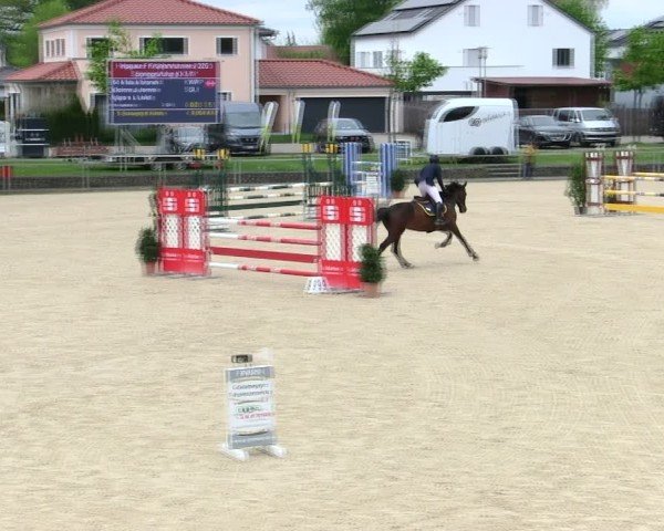 Reitturnier Ingolstadt-Hagau/Obb. 2025