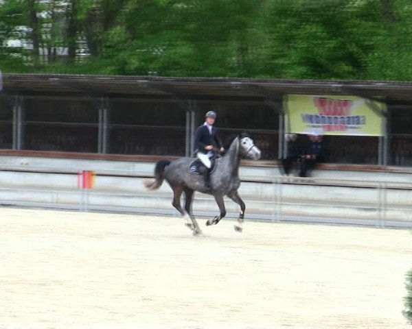 Reitturnier Ingolstadt-Hagau/Obb. 2025