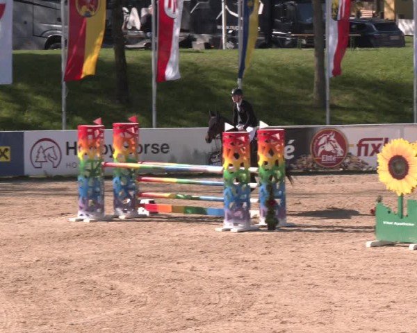 Internationales Springturnier Stadl-Paura 2025