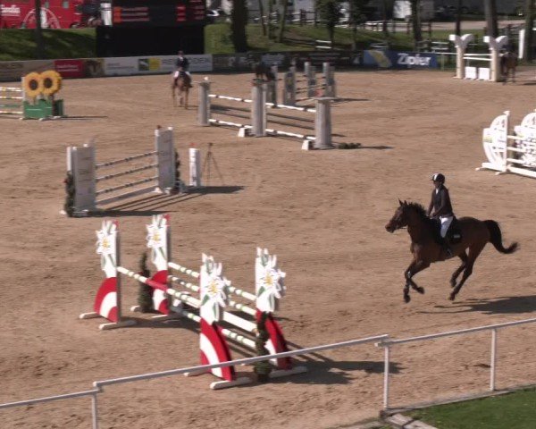 Internationales Springturnier Stadl-Paura 2025