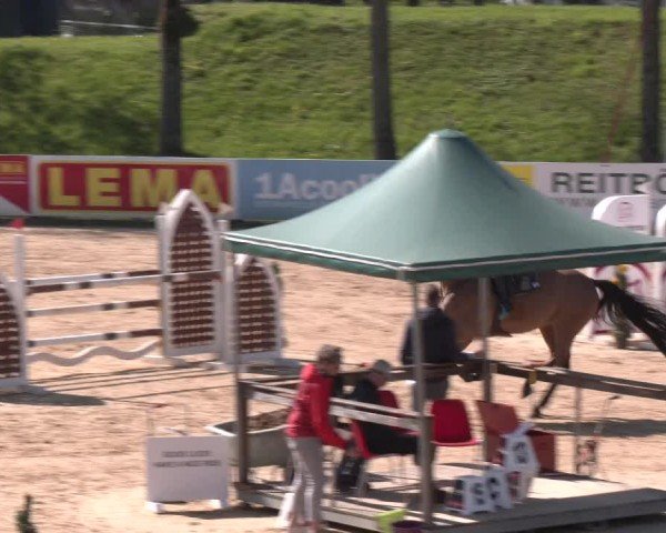 Internationales Springturnier Stadl-Paura 2025