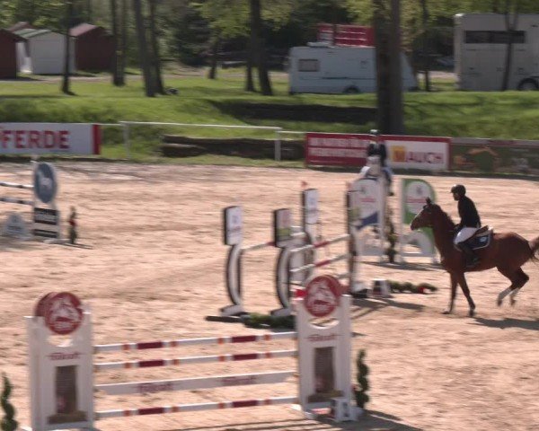 Internationales Springturnier Stadl-Paura 2025