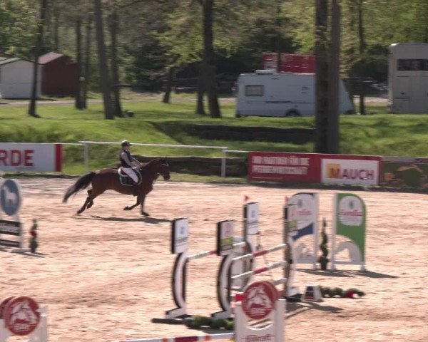 Internationales Springturnier Stadl-Paura 2025