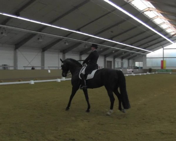 Dressurturnier IGD Vechta 2014