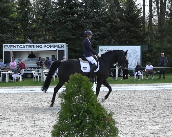 Reitturnier Pietzpuhl 2025