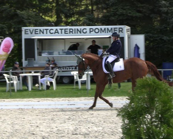 Reitturnier Pietzpuhl 2025