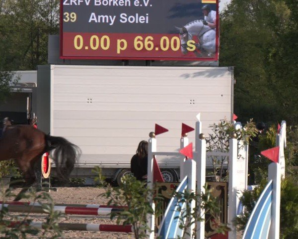 Reitturnier Nienberge 2025