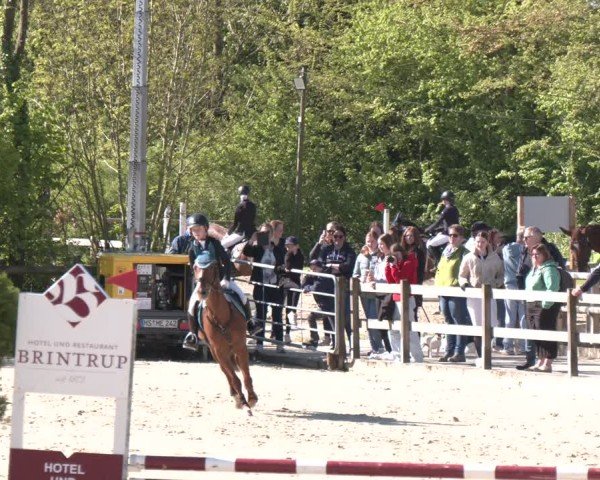 Reitturnier Nienberge 2025