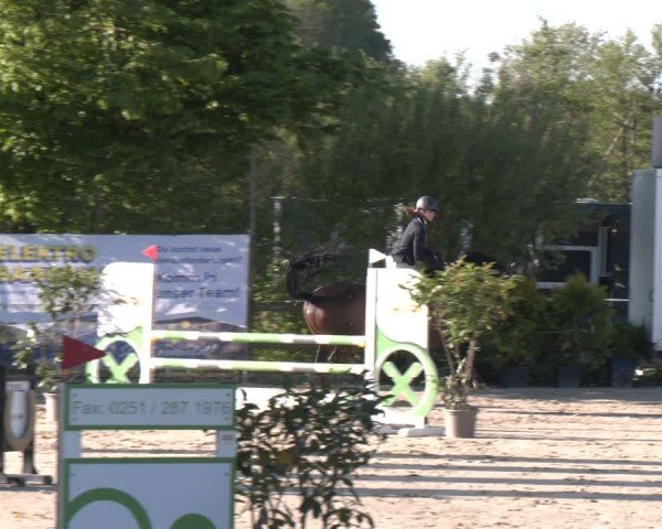 Reitturnier Nienberge 2025