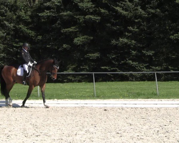 Reitturnier Pietzpuhl 2025