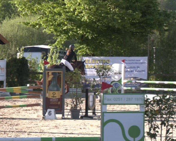 Reitturnier Nienberge 2025