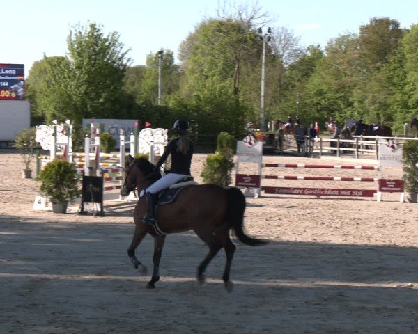 Reitturnier Nienberge 2025