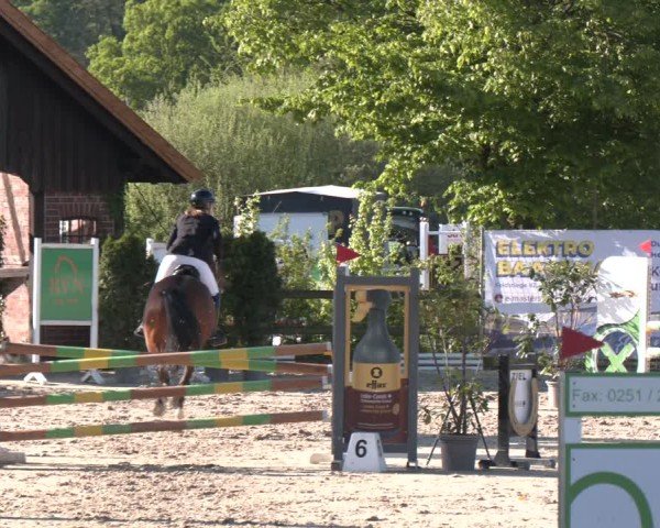 Reitturnier Nienberge 2025
