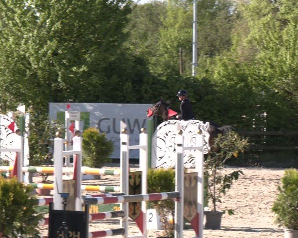 Reitturnier Nienberge 2025