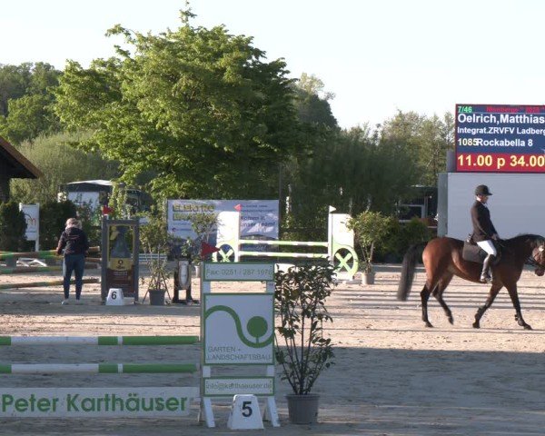 Reitturnier Nienberge 2025