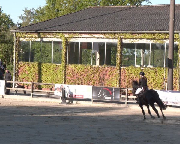 Reitturnier Nienberge 2025