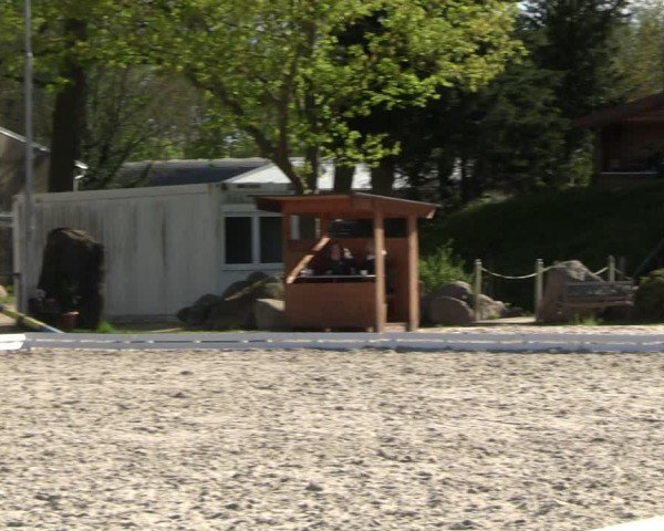 Reitturnier Pietzpuhl 2025