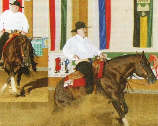 horse Bricks Top Jac (Quarter Horse, 1996, from Jac O Rima)