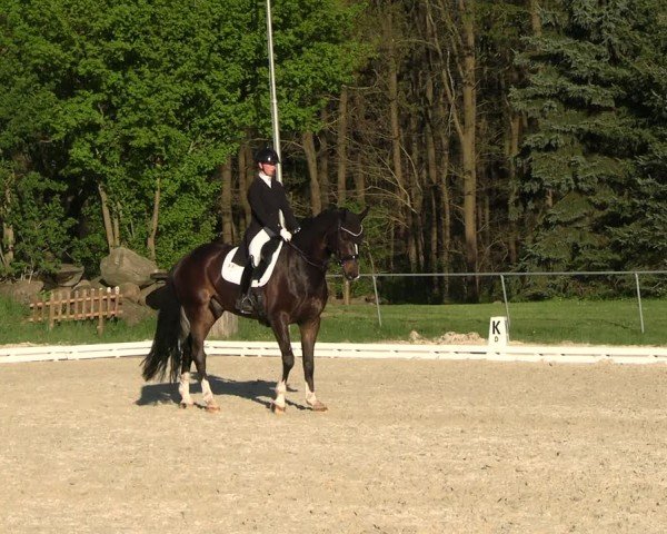 Reitturnier Pietzpuhl 2025
