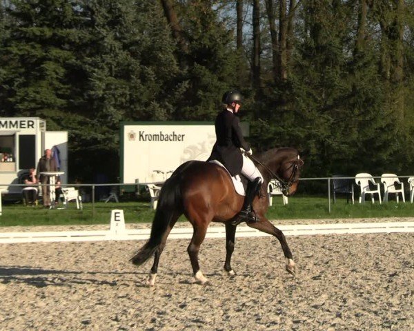 Reitturnier Pietzpuhl 2025