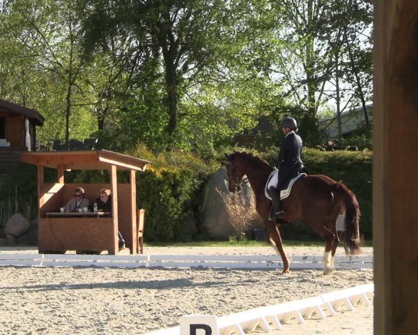 Reitturnier Pietzpuhl 2025
