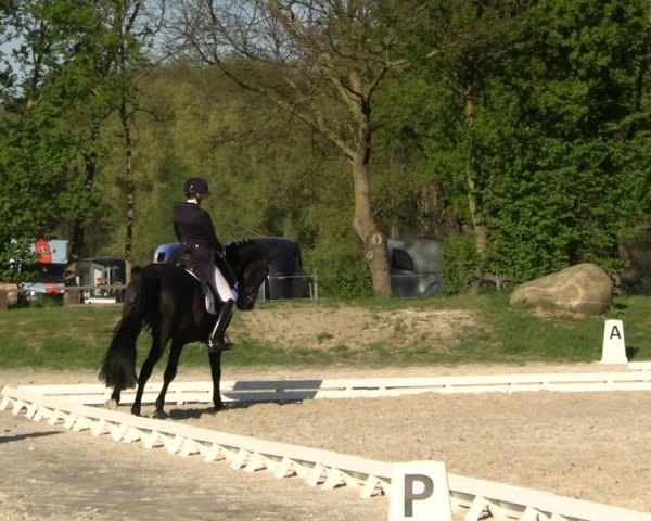 Reitturnier Pietzpuhl 2025