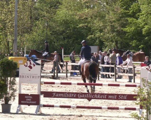 Reitturnier Nienberge 2025