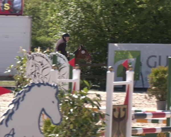 Reitturnier Nienberge 2025