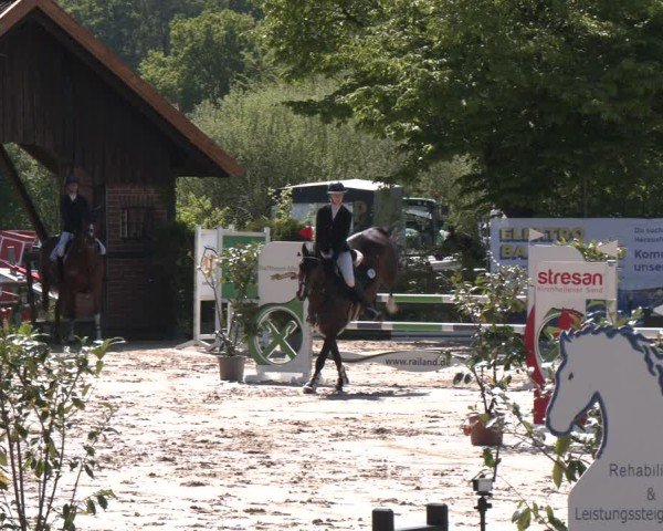 Reitturnier Nienberge 2025