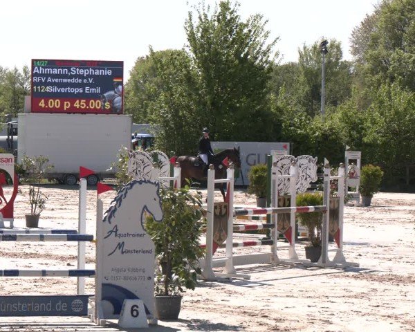 Reitturnier Nienberge 2025