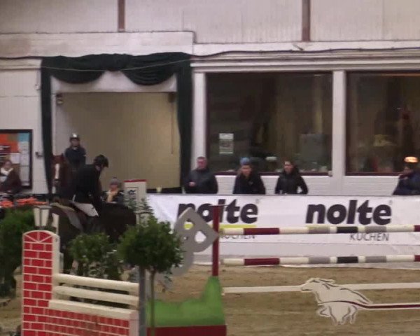 Hallenspringturnier in Borken 2014