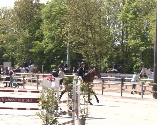Reitturnier Nienberge 2025
