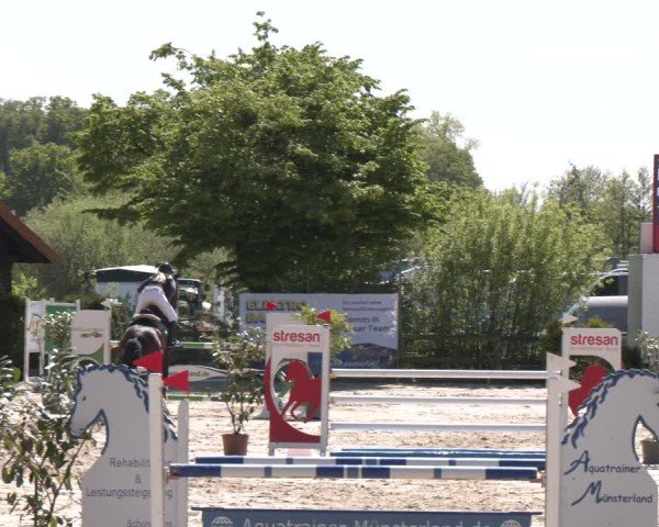 Reitturnier Nienberge 2025