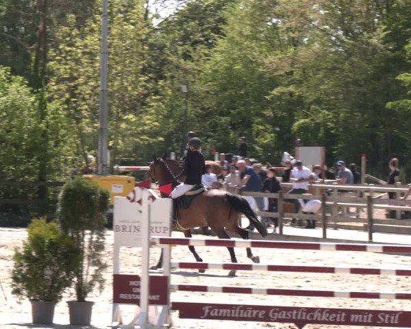 Reitturnier Nienberge 2025