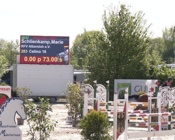 Reitturnier Nienberge 2025