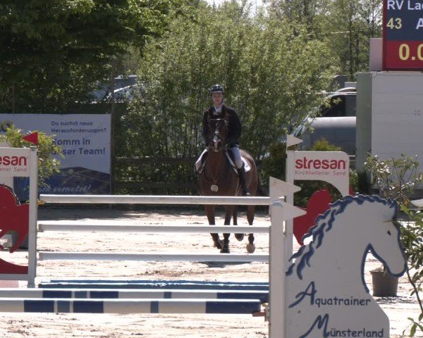 Reitturnier Nienberge 2025