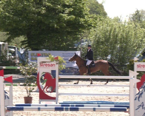 Reitturnier Nienberge 2025