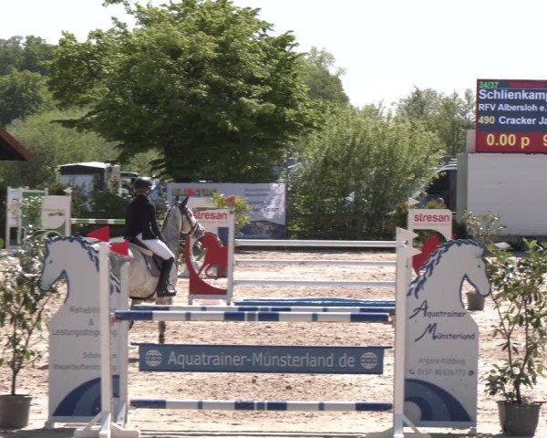 Reitturnier Nienberge 2025