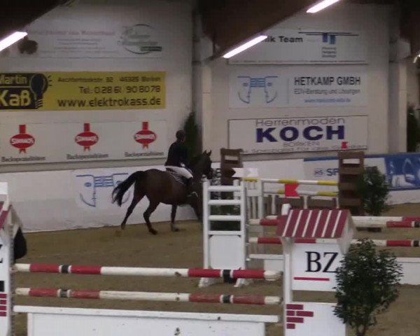 Hallenspringturnier in Borken 2014