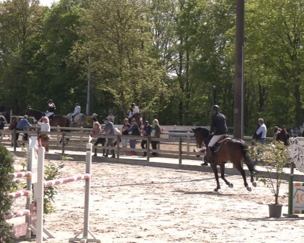 Reitturnier Nienberge 2025