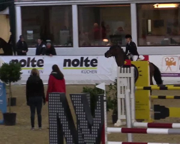 Hallenspringturnier in Borken 2014
