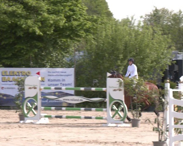 Reitturnier Nienberge 2025