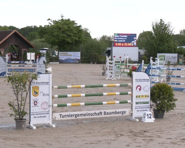 Reitturnier Nienberge 2025