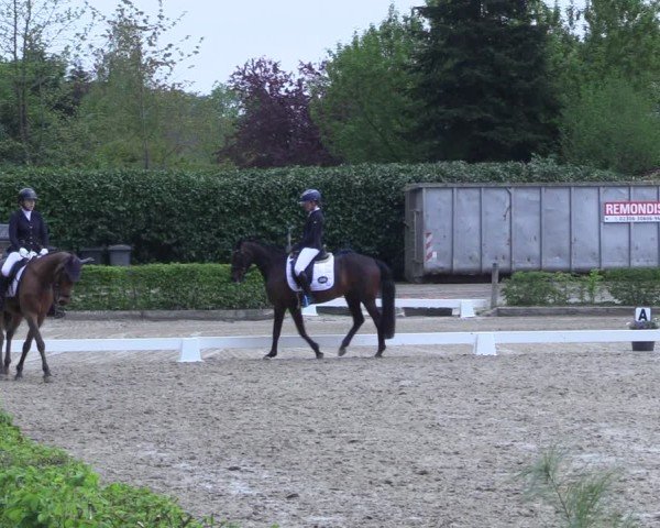Reitturnier Olfen 2025