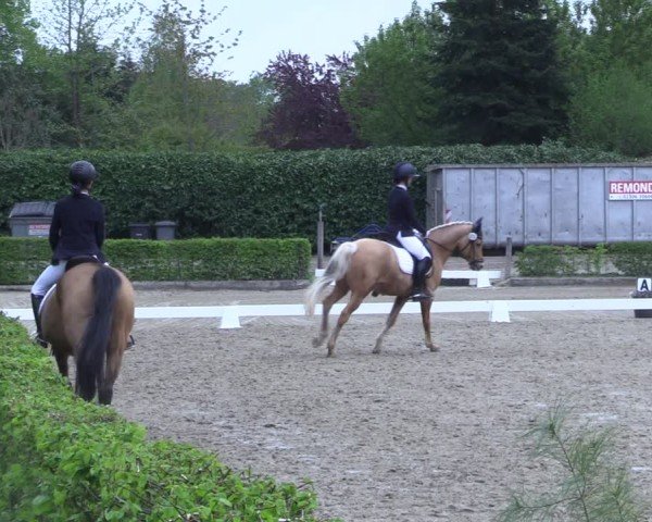 Reitturnier Olfen 2025