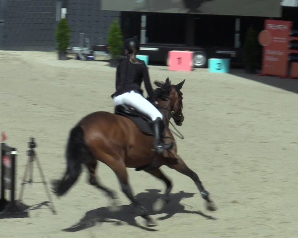 Reitturnier Aachen 2025
