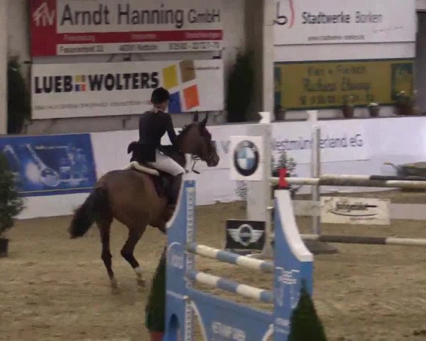 Hallenspringturnier in Borken 2014