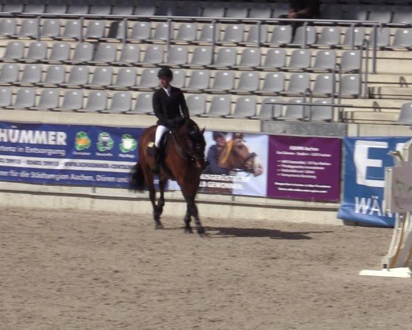 Reitturnier Aachen 2025