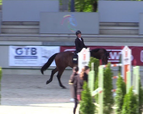 Reitturnier Aachen 2025