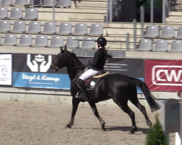 Reitturnier Aachen 2025